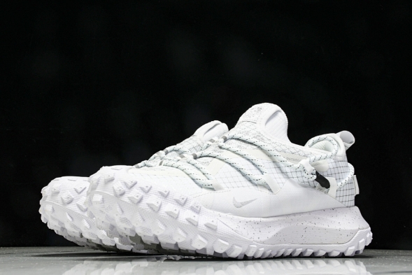 Nike ACG Mountain Fly Low GTX SE DD2861 011 