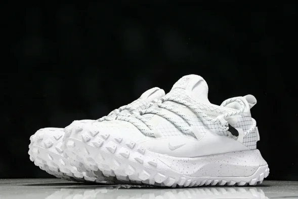 Nike ACG Mountain Fly Low GTX SE DD2861 011 