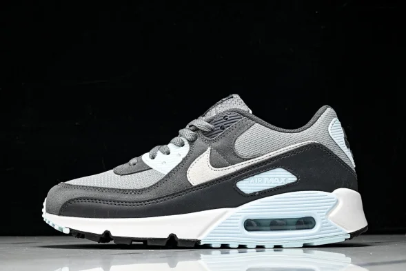 Nike Air Max 90 DM0029 009  