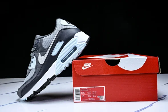 Nike Air Max 90 DM0029 009  