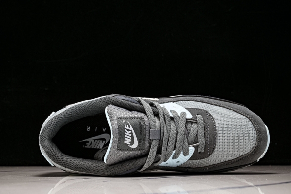 Nike Air Max 90 DM0029 009  