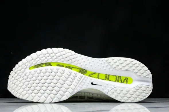 Nike Air Zoom Pegasus Premium HQ2592 100 