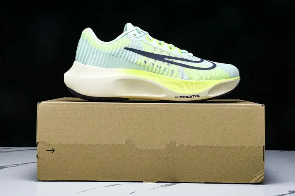 Nike Zoom Fly 5 DM8968 300 