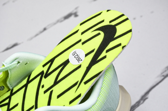 Nike Zoom Fly 5 DM8968 300 