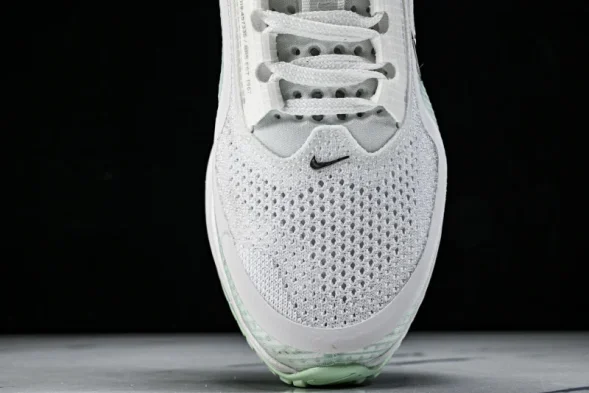 Nike Air Zoom Pegasus Premium HQ2593-103 