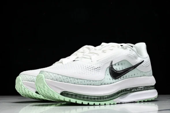 Nike Air Zoom Pegasus Premium HQ2593-103 