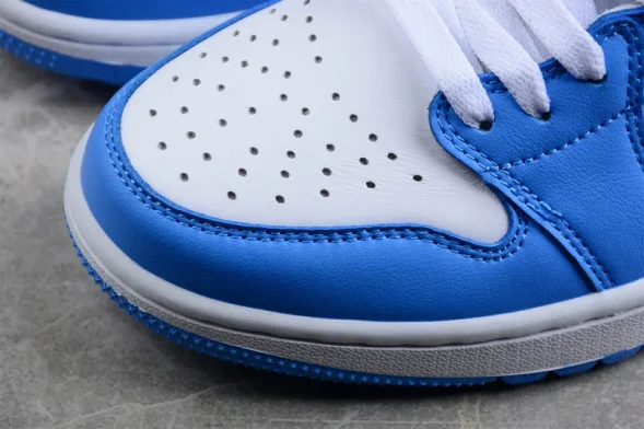Nike Air Jordan 1 low Golf Shadow DD9315-100 