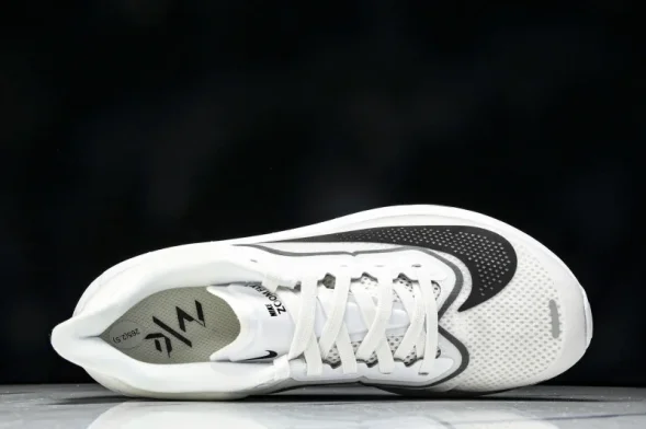Nike Zoom Fly 6 FN8454 100 