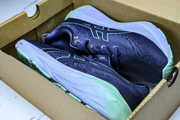 Asics Novablast 4 1012B510-401 