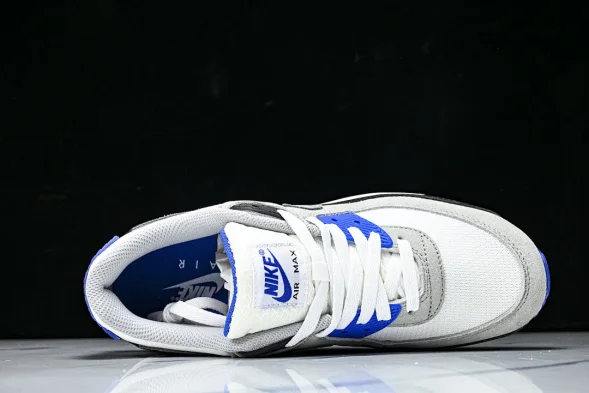 Nike Air Max 90 DM0029-112 