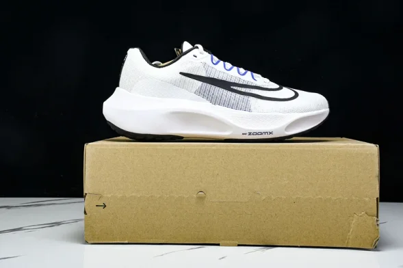 Nike Zoom Fly 5 DZ2769-101 