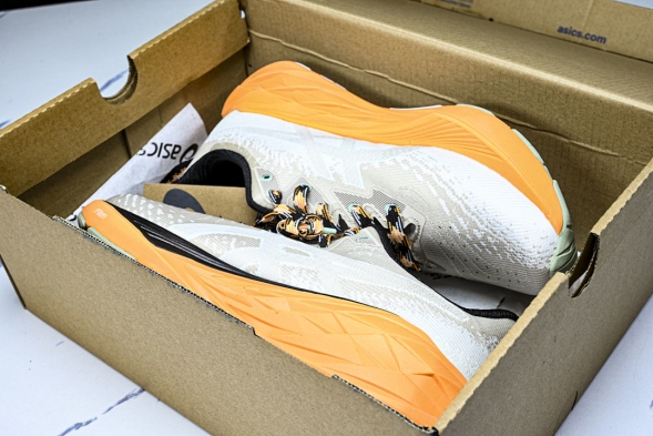 Asics Novablast 4 1011B850-250 