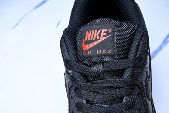 Nike Air Max 90 DZ4504 003 