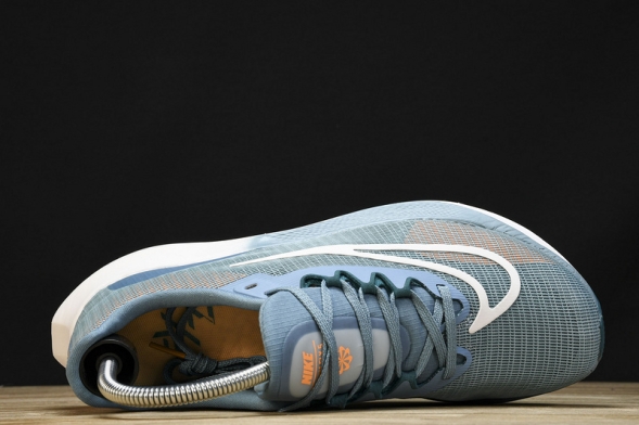 Nike Zoom Fly 5 DM8968 400 