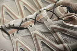 Salomon XT-Quest ADV Beige XT 474789-28