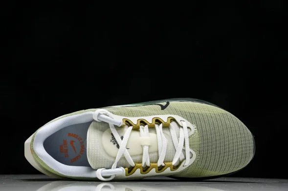 Nike Zoom Fly 5 FV3632 301 