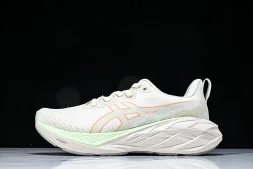 Asics Novablast 4 1012B510-250