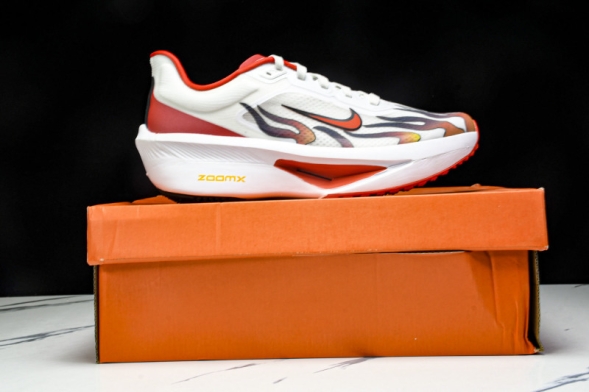 Nike Zoom Fly 6 HQ3498 100 