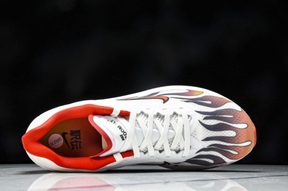 Nike Zoom Fly 6 HQ3498 100 