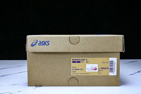Asics Novablast 4 1012B650-100 