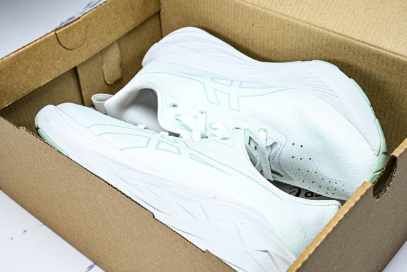 Asics Novablast 4 1012B510-300 