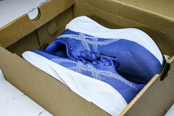 Asics Novablast 5 1011B974-403 