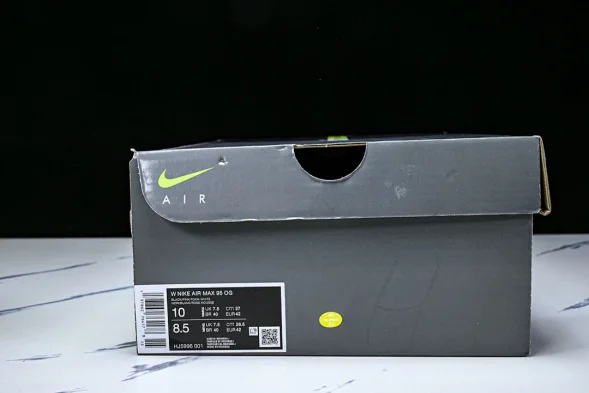 Nike Air Max 95 HJ5996 001 