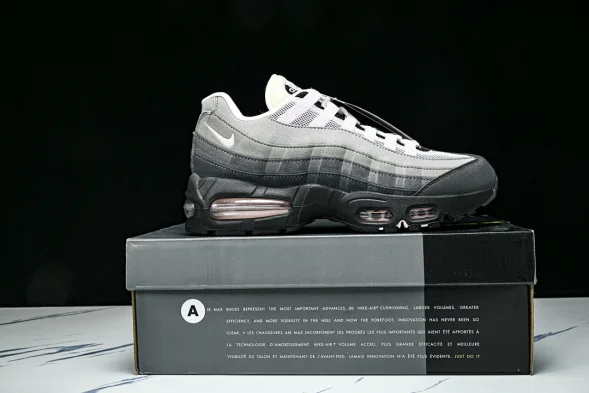 Nike Air Max 95 HJ5996 001 