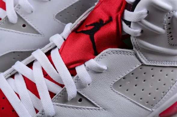 Nike Air Jordan 6 Hare CT8529-062 