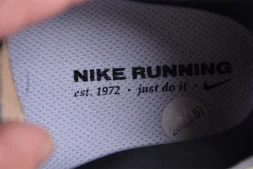 Nike Air Zoom Vomero 17 FB1309-001