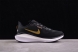 Nike Air Zoom Vomero 17 FB1309-006 