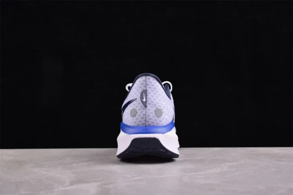 Nike Air Zoom Vomero 17 FB1309-100 