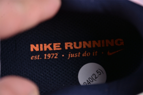 Nike Air Zoom Vomero 17 FB8502-100 