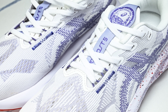 Asics Novablast 5 1011C139-500 