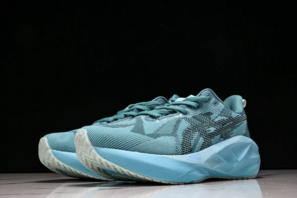 Asics Novablast 5 1011B974-401 