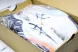 Asics Gel-Resolution X 1041A481-110 