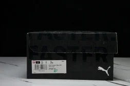 Puma FAST-R Nitro Elite 2 377601-01