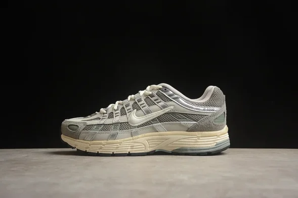 Nike P-6000 FN7509-029  