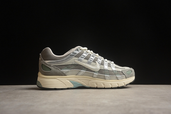 Nike P-6000 FN7509-029  