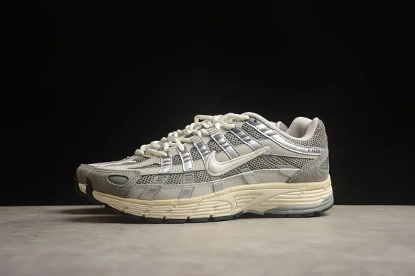 Nike P-6000 FN7509-029  