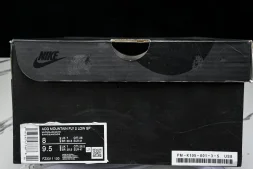 Nike ACG Mountain Fly 2 Low SP FZ3311 100