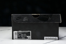 Nike ACG Mountain Fly 2 Low SP FZ3311 100