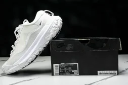 Nike ACG Mountain Fly 2 Low SP FZ3311 100
