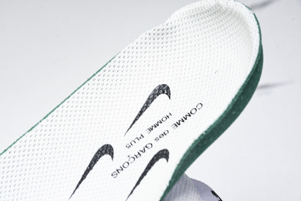 Nike ACG Mountain Fly 2 Low SP FZ3311 100 