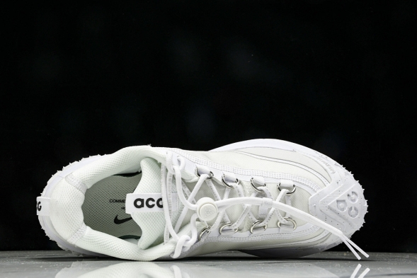 Nike ACG Mountain Fly 2 Low SP FZ3311 100 