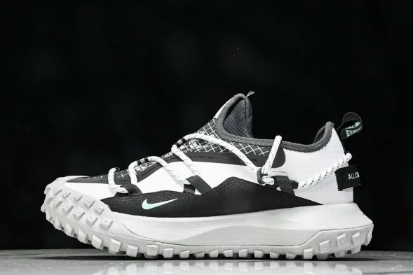 Nike ACG Mountain Fly Low GTX SE D09334 100 