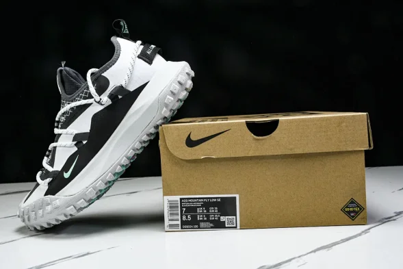 Nike ACG Mountain Fly Low GTX SE D09334 100 