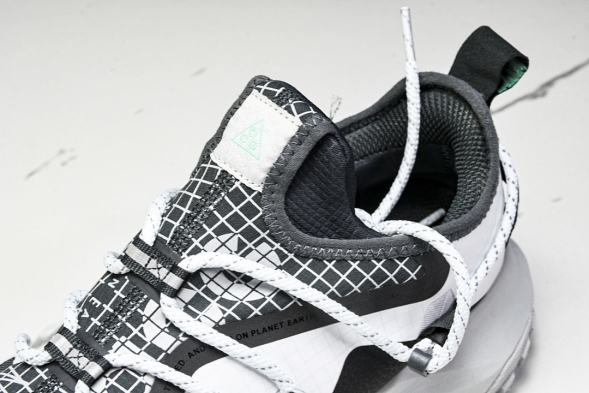 Nike ACG Mountain Fly Low GTX SE D09334 100 