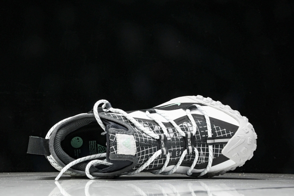 Nike ACG Mountain Fly Low GTX SE D09334 100 