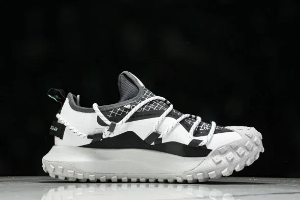 Nike ACG Mountain Fly Low GTX SE D09334 100 
